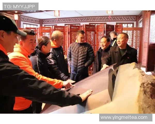 与杨静对话探讨她的足球生涯与未来发展之路