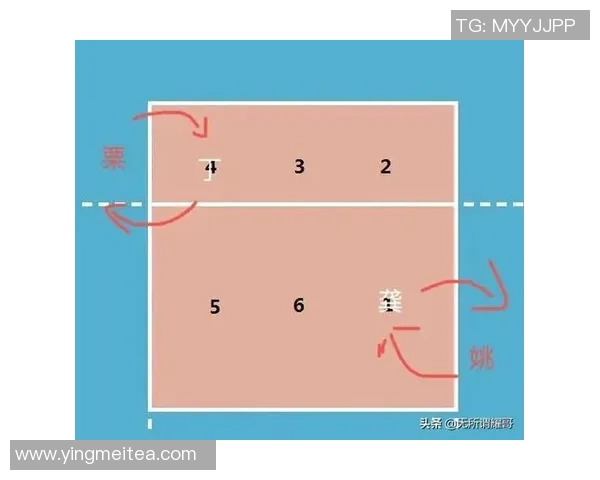 广州排球队精英赛战术分析与表现评估全面解读