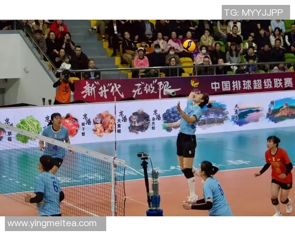 杭州排球队配合变革引发热议助力球队新征程